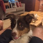 Fraser Stephens - Facebook