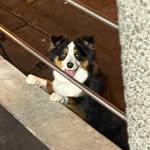 Fraser Stevens - @fwstevens - Instagram