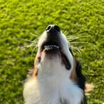 Fraser Stevens - Facebook