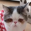 Fraser_walsh - @fraser_walsh - TikTok