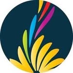 Fraser Williams - @bloomrealestatewa - Instagram