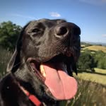 Fraser Willis - @fraserwillis6 - Instagram