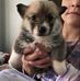 Frakie Jones - Facebook