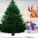 Fray Bravo - Facebook