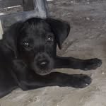 Fray Sossa Martinez - @fraysossamartinez - Instagram