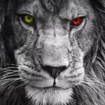Fraz Hussain - @fraz490 - Instagram