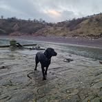 Frazer Buchanan - Facebook