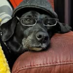 Rosemary Frazer Cook - @cookrosie75 - Instagram