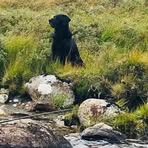 Frazer Hamilton - Facebook