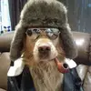 frazerhoward433 - @frazerhoward433 - TikTok