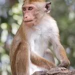 Frazer Jackson - @frazmonkey2019 - Instagram