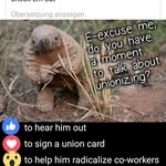 Frazer MacDonald - @macdonaldfrazer - Instagram