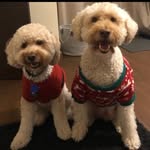 Frazer + Morgan - @_frazer.morgan_ - Instagram