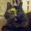 frazierbell258 - @frazierbell258 - TikTok