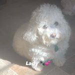 Darlene Frazier-Brown - @denimarie_designs - Instagram