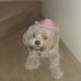 Frazier Clark - Facebook
