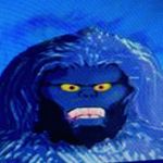 Tramel Shedd - @freaky_deaky_rafiki - Instagram