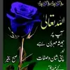 Farid Abbasi42 - @freedabbasi - TikTok