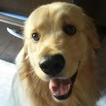 Fred Meinschein Abreu - @fredmeinscheinabreu - Instagram