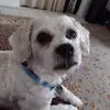 fredacosta87 - @fredacosta87 - TikTok