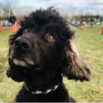 Fred - @fred.adams_ - Instagram