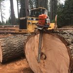 Fred Adamson - @logger_fred - Instagram