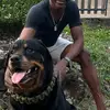 Freddy Osagie Agho - @agho.freddy - TikTok