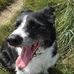 Fred Agnew - Facebook