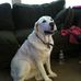 Fred Aichinger - Facebook