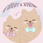 Fredy & Aira 🐾 - @fredy.and.aira - Instagram