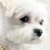 Freda Akers - Facebook
