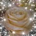 Fred Alberti - Facebook