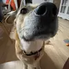 Frederik Albrecht Ni - @frederikalbrechtnielsen - TikTok