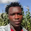 FRED ALFRED - @fred.alfred4 - TikTok