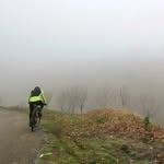 @fredalfred - Instagram