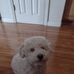 Fred Alger - Facebook