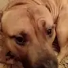 Fred Allard - @fred.allard1 - TikTok