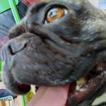 Fredallard - @fredallard59 - Instagram