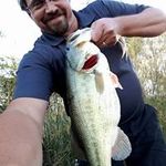 Fred Allen - @fredallen9870 - Instagram