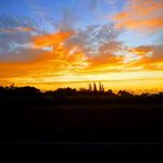 Alfred Almanzar - @alfred.almanzar - Instagram
