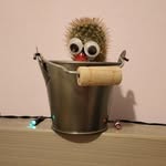 RENDEZ MOI CÉLÈBRE - @alfred.albert.alphonse.cactus - Instagram