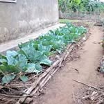 Fred Aman - @fred.aman.395 - Instagram