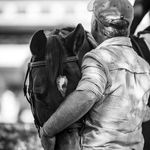 Hípica Fred Amaral | Aulas de Equitação - @fredamaralhipismo - Instagram