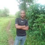 Fred Ambrose - @fred.ambrose.311 - Instagram