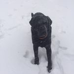 Fred Ames - @fred.ames - Instagram