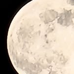 Freda Meyer - @fredameyer3 - Instagram