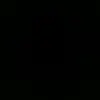 Fred Hamster - @fred.hamster - TikTok
