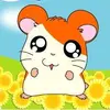 Fredhamster - @fred33rod - TikTok