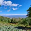 Fredy Andres - @fredy.andres31 - TikTok