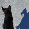 ansellfred_fred - @ansellfred_fred - TikTok